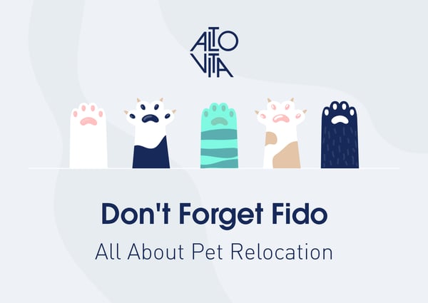 Blog Featured Image