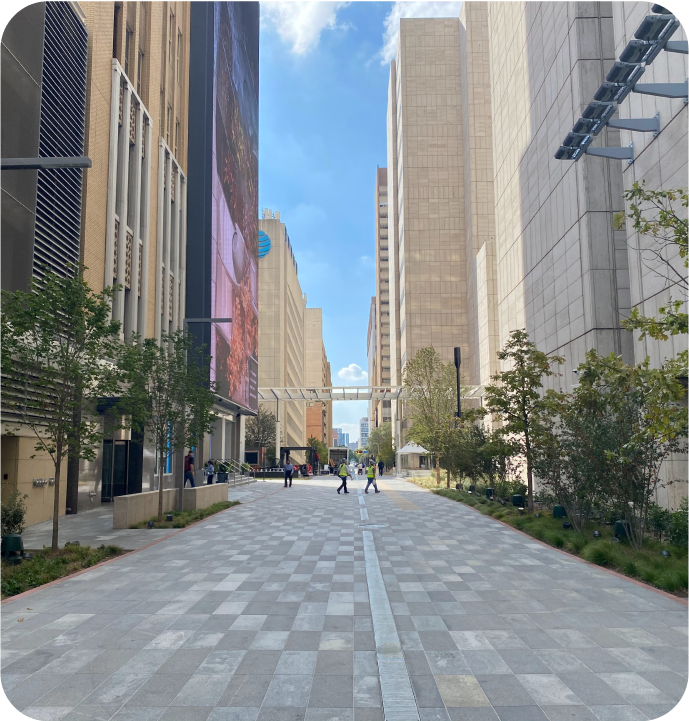 Top Housing Areas in Dallas Downtown Dallas