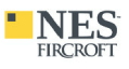 nes logo