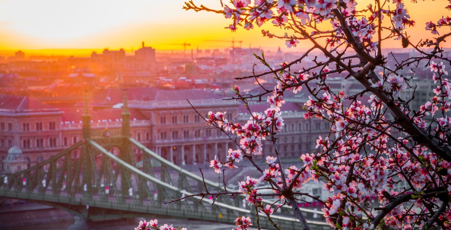 Relocating to Budapest for Work